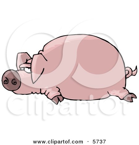 Fat Pink Pig Laying On the Ground Clipart Illustration by djart