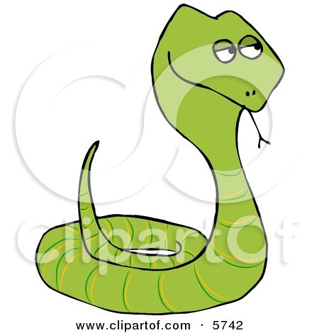 Coiled Up Viper Snake Sticking Tongue Out Clipart Illustration by djart