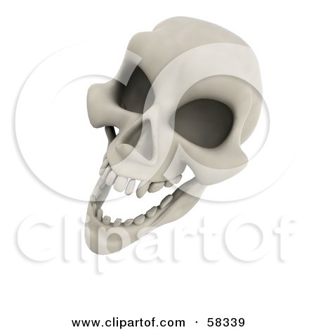 Royalty-Free (RF) Clipart Illustration of a 3d Human Skeleton Head Laughing by KJ Pargeter
