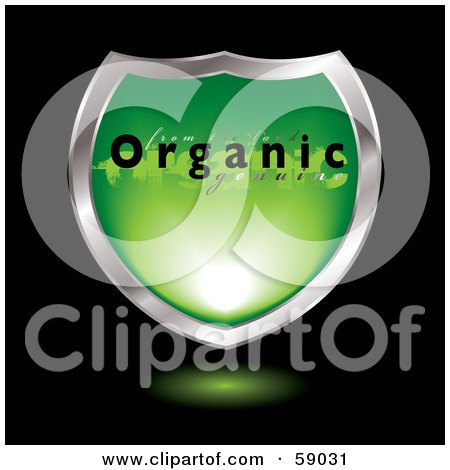 Royalty-Free (RF) Clipart Illustration of a Green Organic Shield With Chrome Trim by michaeltravers