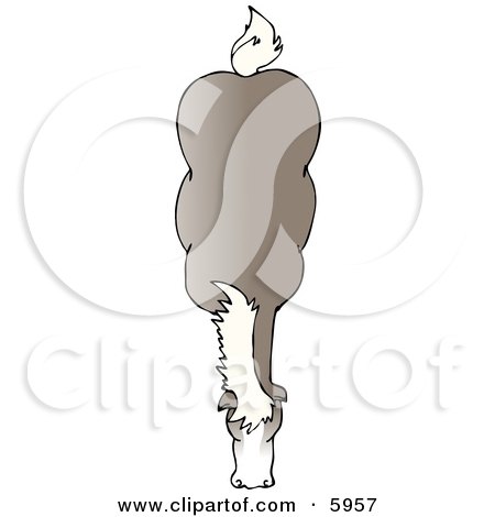 Top of a Horse Clipart Picture by djart