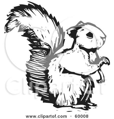 Royalty-Free (RF) Clipart Illustration of a Black And White Squirrel Holding One Paw Up by xunantunich
