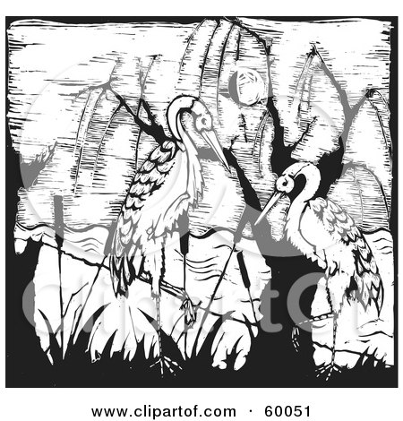 Royalty-Free (RF) Clipart Illustration of Two Black And White Storks In Reeds by xunantunich