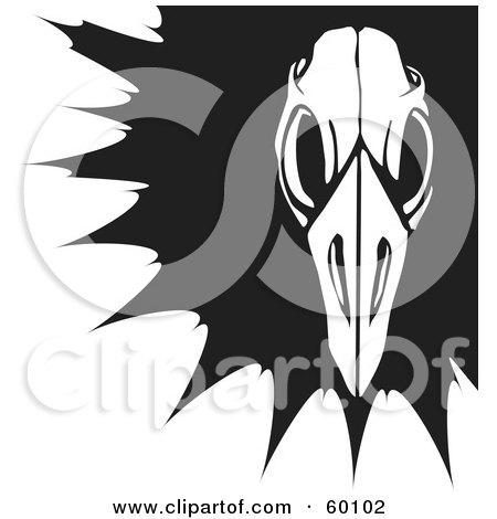 Royalty-Free (RF) Clipart Illustration of a Black And White Bird Skull Over A Black Splatter by xunantunich