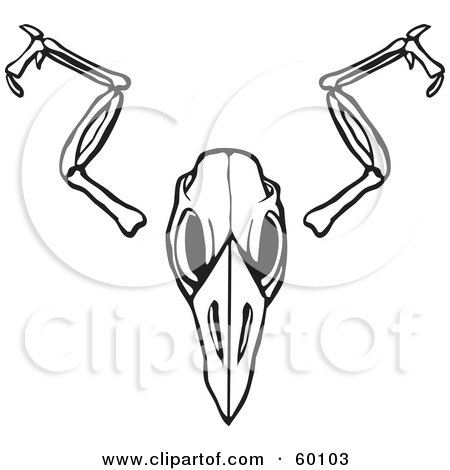 Royalty-Free (RF) Clipart Illustration of a Black And White Bird Skull And Wing Bones On White by xunantunich