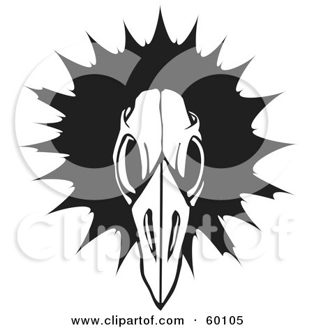 Royalty-Free (RF) Clipart Illustration of a Black And White Bird Skull Over A Black Burst by xunantunich