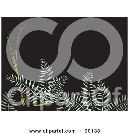 Royalty-Free (RF) Clipart Illustration of Green Ferns And Branches Over A Dark Background by xunantunich