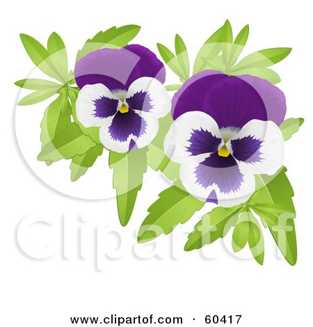 Royalty-Free (RF) Clipart Illustration of a Pair Of Purple And White Pansy Flowers by Oligo