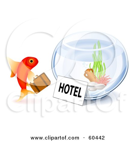 Royalty-Free (RF) Clipart Illustration of a Goldfish Checking Into A Hotel Bowl by Oligo