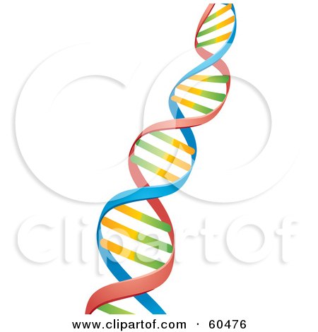 Royalty-Free (RF) Clipart Illustration of a Diagonal Colorful Strand Of DNA by John Schwegel