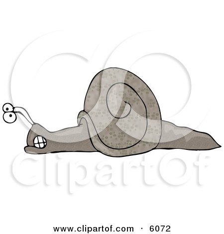 Mad Cartoon Snail Clipart Picture by djart
