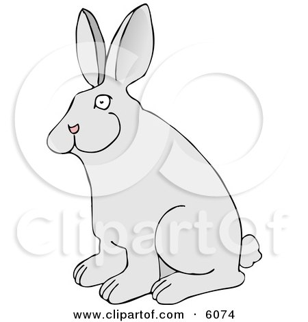 Pet Rabbit with Big Ears Clipart Picture by djart