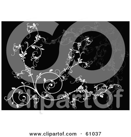 Royalty-free (RF) Clipart Illustration of an Ornate White Vine Scroll Background On Black by pauloribau