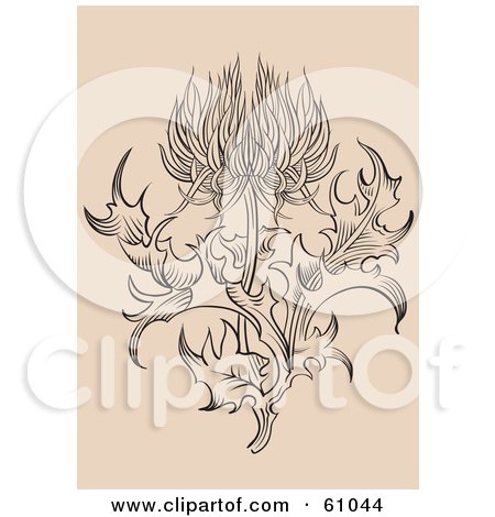 Royalty-free (RF) Clipart Illustration of an Ornate Thistle Flower With Leaves On Beige by pauloribau