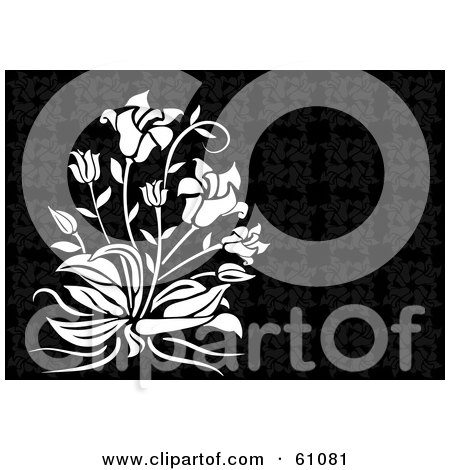 Royalty-free (RF) Clipart Illustration of a White Plant With Flowers On A Dark Floral Background by pauloribau