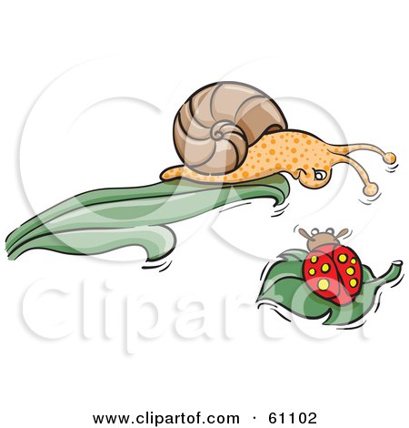 Royalty-free (RF) Clipart Illustration of a Brown Snail At The Tip Of A Leaf, Looking Down At A Ladybug by pauloribau