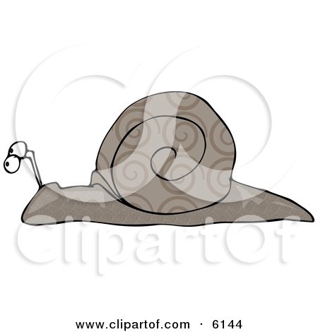 Gray Snail With Swirly Designs on its Shell Clipart Picture by djart