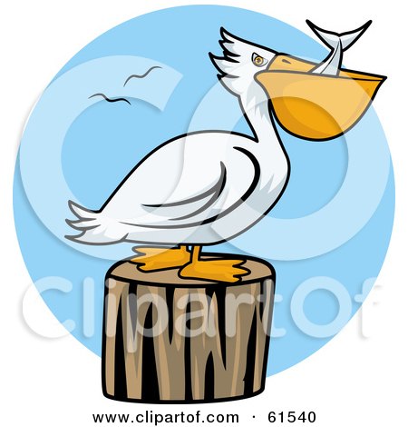 Royalty-free (RF) Clipart Illustration of a White Pelican Swallowing Fish And Resting On A Stump by r formidable