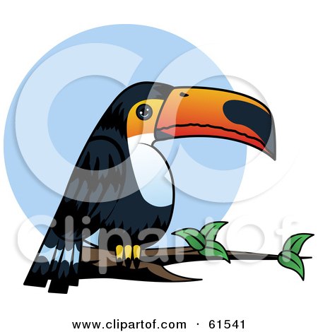 Royalty-free (RF) Clipart Illustration of a Chubby Toucan Bird Perched On A Branch by r formidable