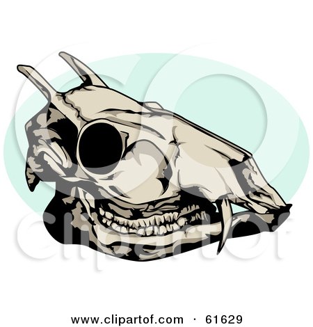 Royalty-free (RF) Clipart Illustration of a Dead Deer Skull by r formidable