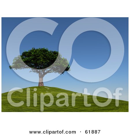 Royalty-free (RF) Clipart Illustration of a Mature 3d Cherry Tree On Top Of A Green Hill Under A Blue Sky by ShazamImages