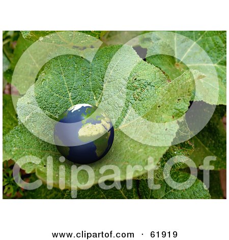 Royalty-free (RF) Clipart Illustration of a 3d Globe Nestled In The Nook Of A Green Photographed Plant Leaf by chrisroll