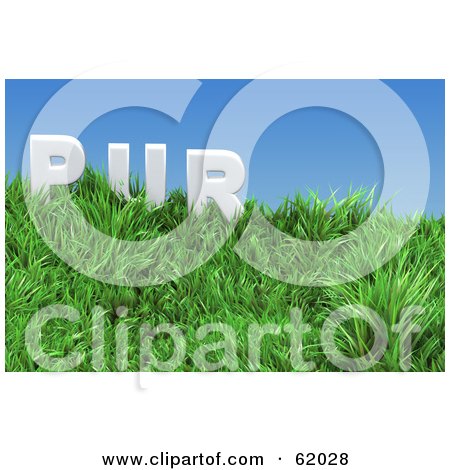 Royalty-free (RF) Clipart Illustration of a Green 3d Grassy Hill With Pur Text Under A Blue Sky by chrisroll