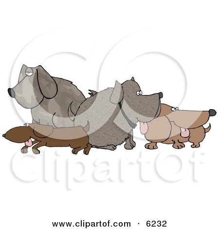 Assortment of Dogs Standing and Sitting in a Group Clipart Picture by djart