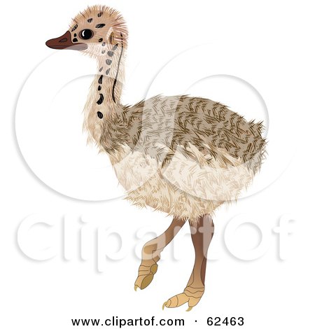 Royalty-Free (RF) Clipart Illustration of a Cute Baby Ostrich Bird by Pams Clipart