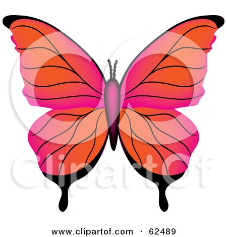 Royalty-Free (RF) Clipart Illustration of a Beautiful Gradient Orange And Pink Butterfly by Pams Clipart