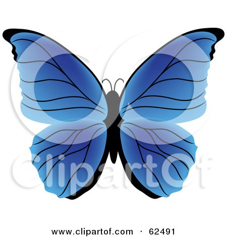 Royalty-Free (RF) Clipart Illustration of a Beautiful Gradient Blue Butterfly by Pams Clipart