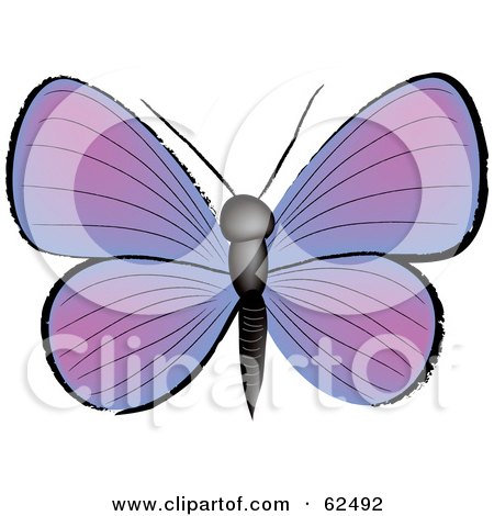 Royalty-Free (RF) Clipart Illustration of a Beautiful Purple Butterfly by Pams Clipart
