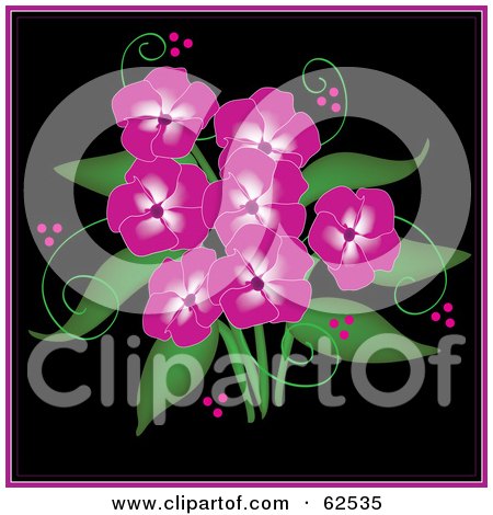 Royalty-Free (RF) Clipart Illustration of a Bouquet Of Beautiful Pink Phlox Flowers Over Black by Pams Clipart