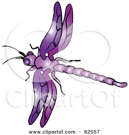Royalty-Free (RF) Clipart Illustration of a Flying Purple Dragonfly - Version 1 by Pams Clipart