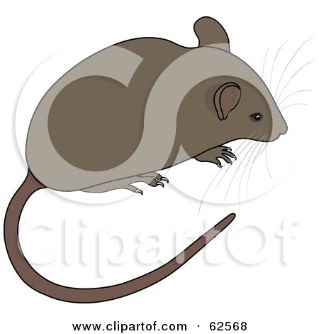 Royalty-Free (RF) Clipart Illustration of a Cute Brown Mouse With A Long Tail And Whiskers by Pams Clipart