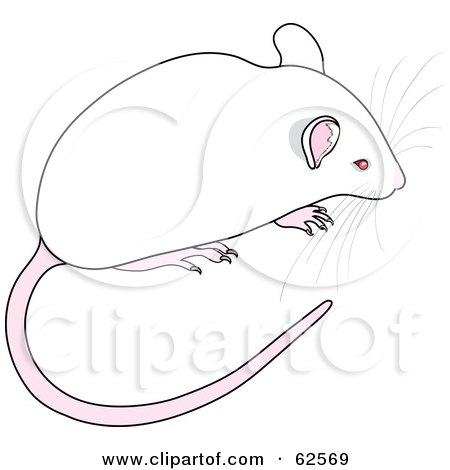Royalty-Free (RF) Clipart Illustration of a Cute White Mouse With A Long Tail And Whiskers by Pams Clipart
