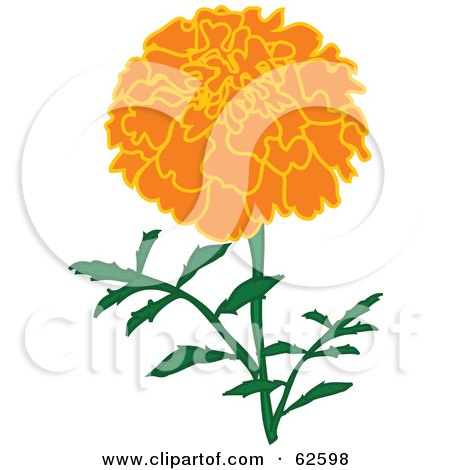 Royalty-Free (RF) Clipart Illustration of a Pretty Orange Marigold Flower by Pams Clipart