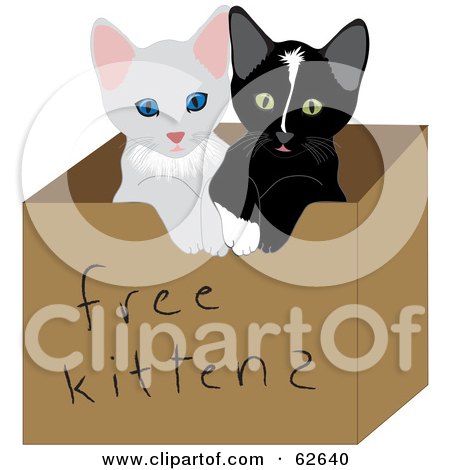 Royalty-Free (RF) Clipart Illustration of Two Cute Baby Kitties In A Free Kittens Box by Pams Clipart
