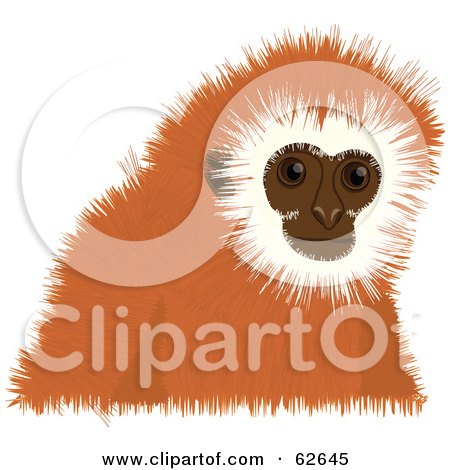 Royalty-Free (RF) Clipart Illustration of a Cute Orange Tamarin Monkey by Pams Clipart