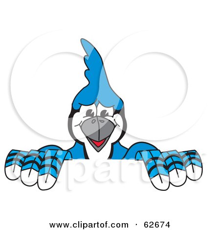 Royalty-Free (RF) Clipart Illustration of a Blue Jay Character School Mascot Holding up a Sign by Toons4Biz