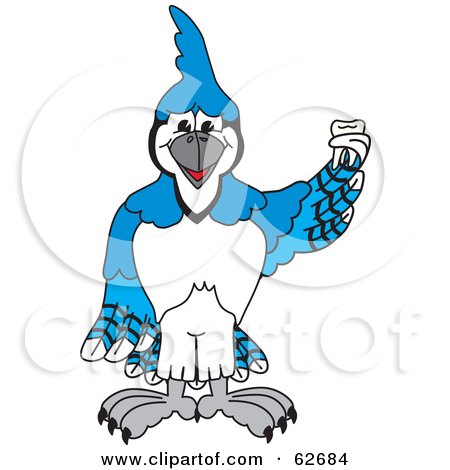 Royalty-Free (RF) Clipart Illustration of a Blue Jay Character School Mascot Holding a Tooth by Toons4Biz