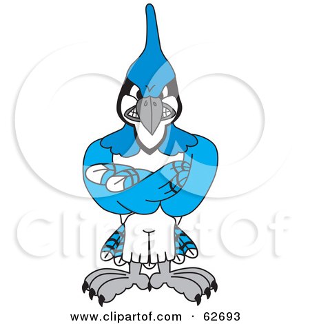 Royalty-Free (RF) Clipart Illustration of a Blue Jay Character School Mascot With Crossed Arms by Mascot Junction
