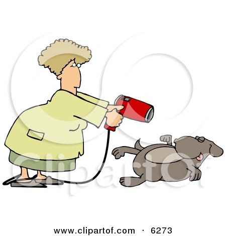 Female Groomer Blow Drying a Dog Clipart Picture by djart