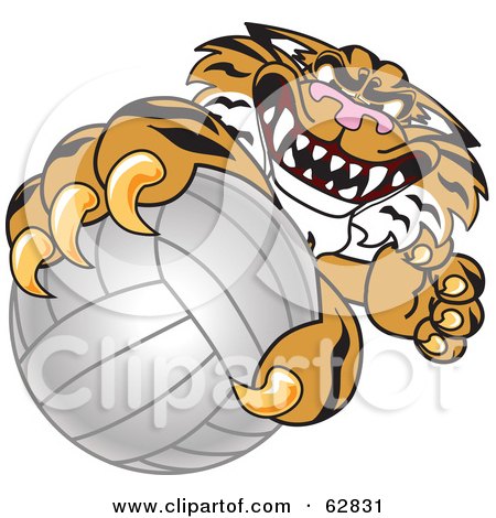 Royalty-Free (RF) Clipart Illustration of a Tiger Character School Mascot Grabbing a Volleyball by Mascot Junction