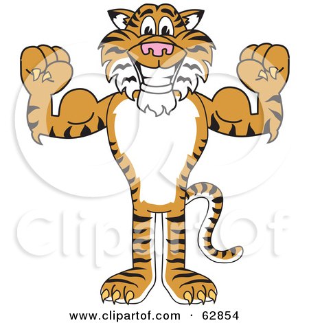 Royalty-Free (RF) Clipart Illustration of a Tiger Character School Mascot Flexing by Mascot Junction