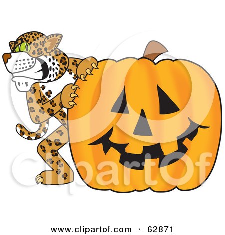 Royalty-Free (RF) Clipart Illustration of a Cheetah, Jaguar or Leopard Character School Mascot With A Halloween Pumpkin by Mascot Junction