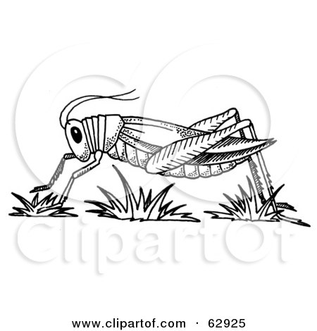 Royalty-Free (RF) Clipart Illustration of a Black And White Grasshopper In Profile Over Grass by LoopyLand