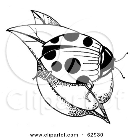 Royalty-Free (RF) Clipart Illustration of a Black And White Ladybug On Leaves by LoopyLand