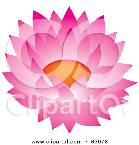 Royalty-Free (RF) Clipart Illustration of a Beautiful Pink Blooming Cactus Flower by Rosie Piter