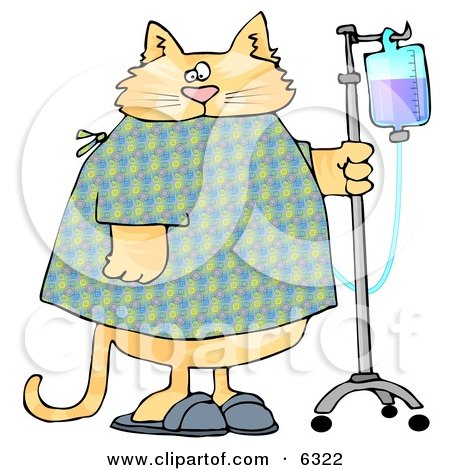 Orange Tabby Cat With an IV Dispenser in a Hospital Clipart Picture by djart